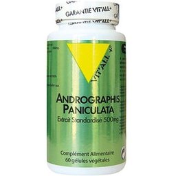 Andrographis Paniculate 500mg 60 Gélule