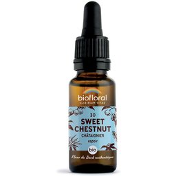 30 - Sweet chestnut - Châtaignier - 20 ml