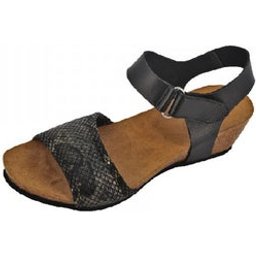 Chaussure Femme Casoria Noir T-39 1ut