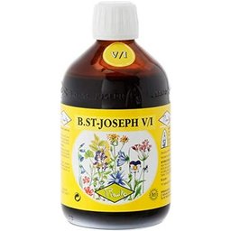 San Joseph V/I Bio 510g