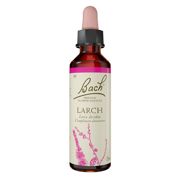 Original - Larch 20ml