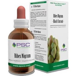 Psc Currant Nigrum Drops 15Ml
