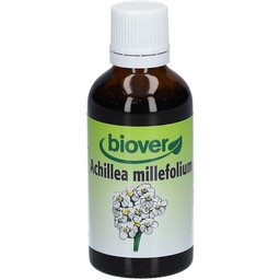 Achillea Millefolium