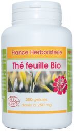 GELULES THE VERT BIO 200 gélules dosées à 250 mg.