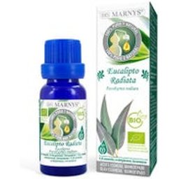 Huile Essentielle Eucalyptus Radiata Bio Flacon de 10ml