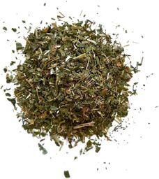 Tisane Saponaire plante Saponaria officinalis