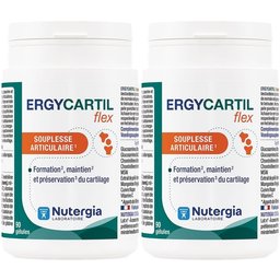 Nutergia Ergycartil Flex
