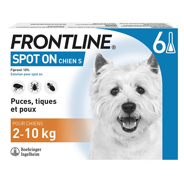 Spot On Chien S 6 pipettes