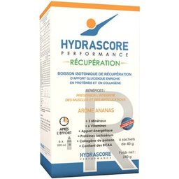 Performance Récupération Ananas 6x40g