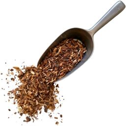 Tisane Marronnier d''Inde écorce Aesculus hippocastanum