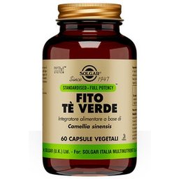 Thé vert Capsules standard de thé vert