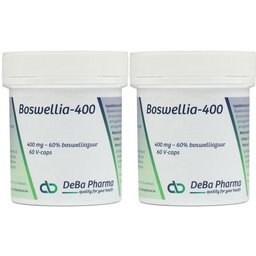 Boswellia Extract 400mg