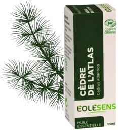Eolesens Huile essentielle bio de Cèdre de l'Atlas (bois) – 10 ml - Éolésens - Aromathérapie
