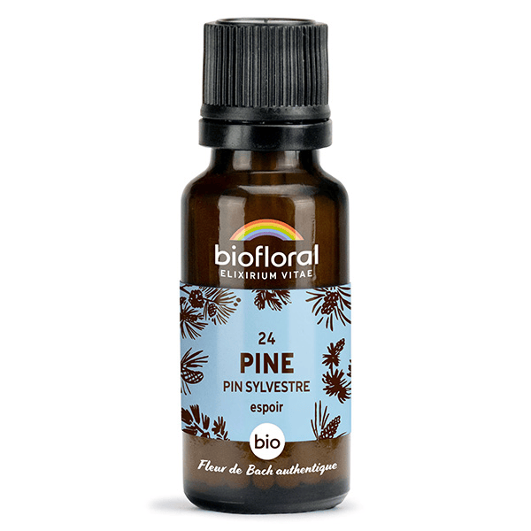 24 Pine Pin Sylvestre Granules Bio Fleur De Bach Granules 19,5 Gr