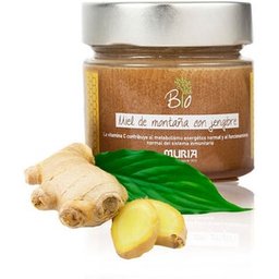 Miel Alta Montaña Jengibre Bio 250g