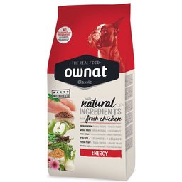 Classic Energy (Dog)