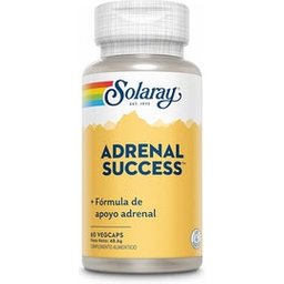 Adrenal Success 60 gélules