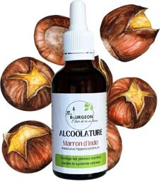 Alcoolature de Marron d'Inde - Aesculus hippocastanum - Flacon de 50ml