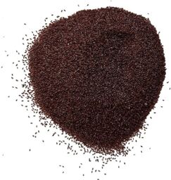 Tisane Psyllium Noir semence 1 KILO Plantago psyllium