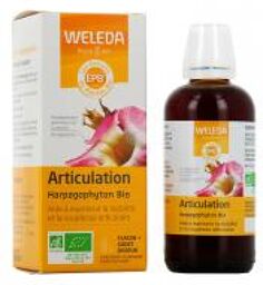 Articulation Harpagophyton Bio 100 ml - Flacon 100