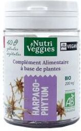 Harpagophytum Complément Alimentaire Bio 40 Gélules - Pot 40 gélules