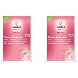 Tisane Allaitement Fruits Rouges 2x20g