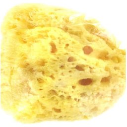 Eponge Naturelle Très Grand Modèle