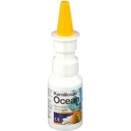 Ocean