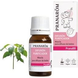 Pranarôm PranaBB Diffusion Assainissant Bio 10ml