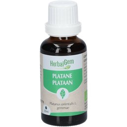 Platane Bio