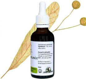 Tisane instantanée de Tilleul - Tilia cordata - Flacon de 50ml