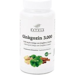 Ginkgozin 3000 60caps