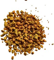 Tisane Curcuma rhizome Curcuma longa.