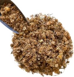 Tisane Arnica fleur ENT Arnica montana