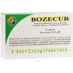 Bozecur 24comp