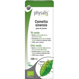 Thé Vert Extrait Hydroalcoolique Bio 100ml
