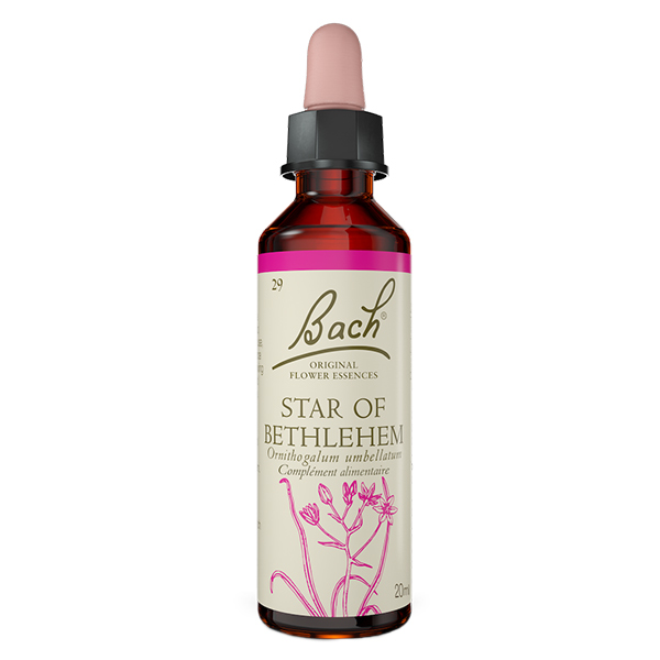 Original - Star of Bethlehem 20ml