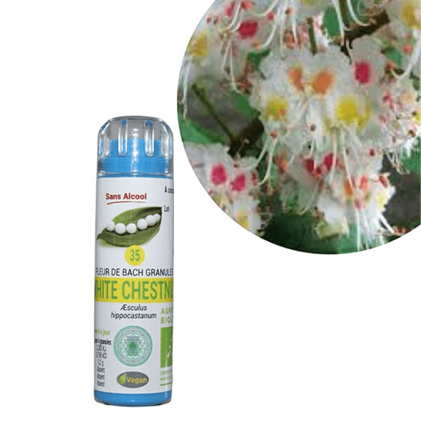 Kosmeo Fleur de Bach 0%  Alcool n°35 White Chesnut Bio 120 granules