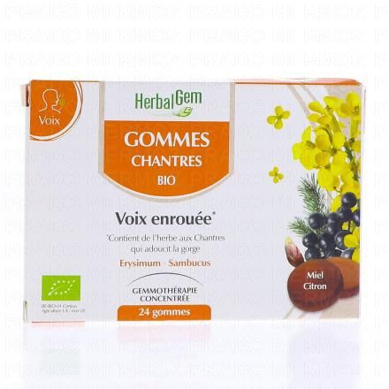 Gommes des Chantres bio x24