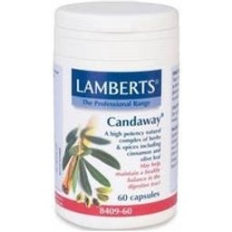Candaway 60 Cap 60 Cap Lamberts