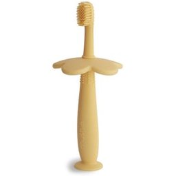 Brosse Dents Didactique Daffodil 1ut