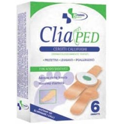 Callips 6 plâtres clipsés