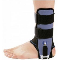 Ligastrap Immo Chevillère Gauche T0