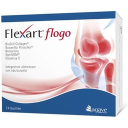 Flexart Flogo Poudre 14 Sachets
