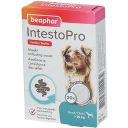 IntestoPro >20 kg