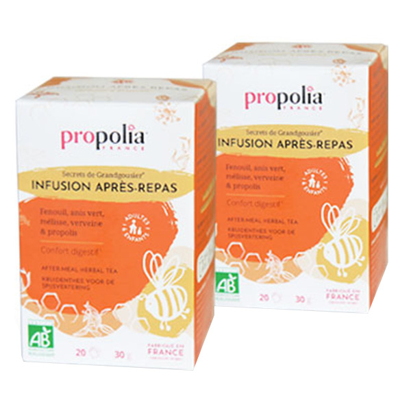 Infusion Après-repas Bio Lot de 2 x 20 sachets