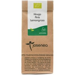 Fenouil Anis Citronnelle 10 Pyramides