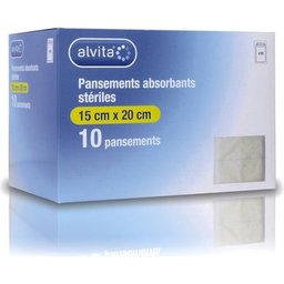 Pansement Absorbant Stérile Non Adhésif 10x10cm 10uts