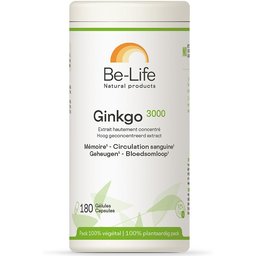 Gink-go 3000