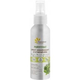 Puryfitout Spray Assainissant 100ml